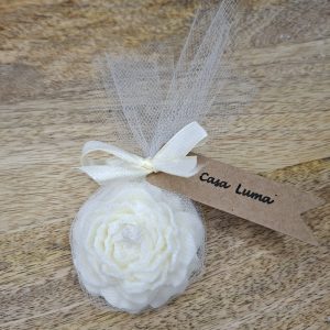 La Bougie – PIVOINE