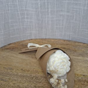 Le Fondant – PIVOINE