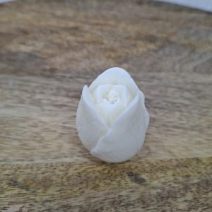 Le Fondant – TULIPE